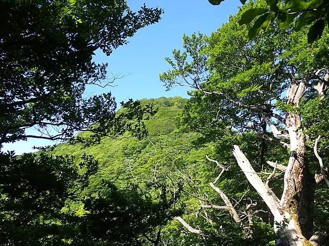 イメージ画像