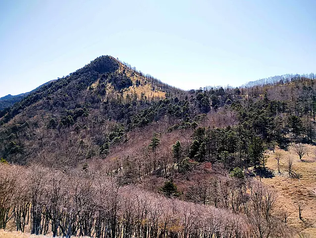 イメージ画像