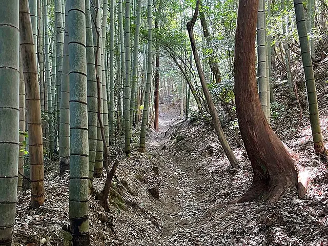イメージ画像
