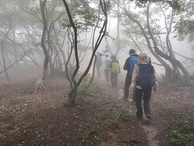 イメージ画像