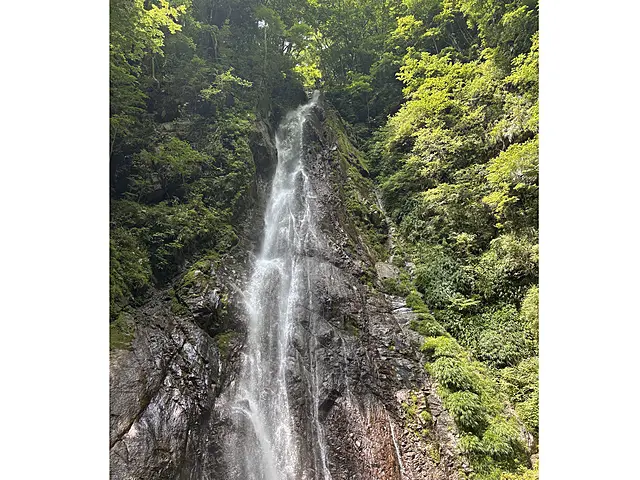 イメージ画像